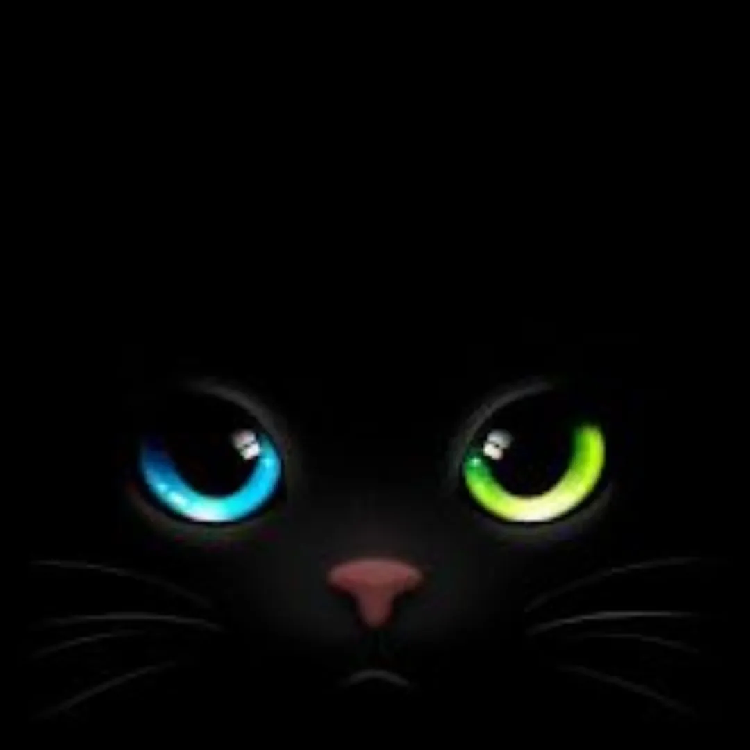 Black dps for whatsapp