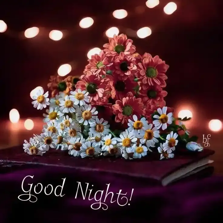 Free Good Night Picture Free Good Night Picture