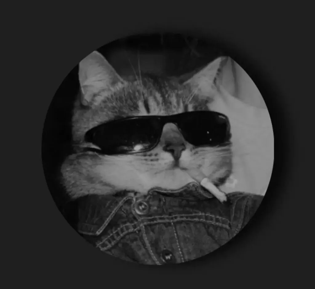 Funny cat Dp For Whatsapp