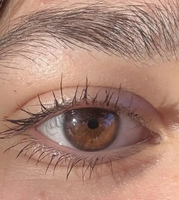 Girl Eyes Pic DP Aesthetic