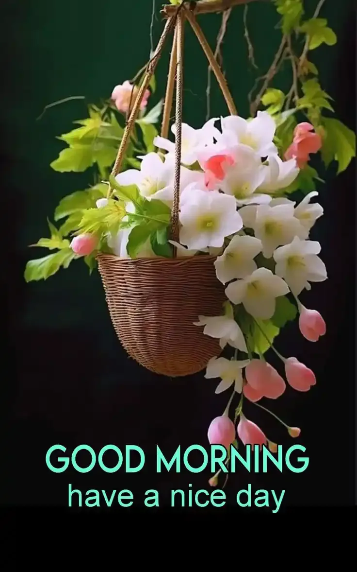 Good Morning Images For Whatsapp