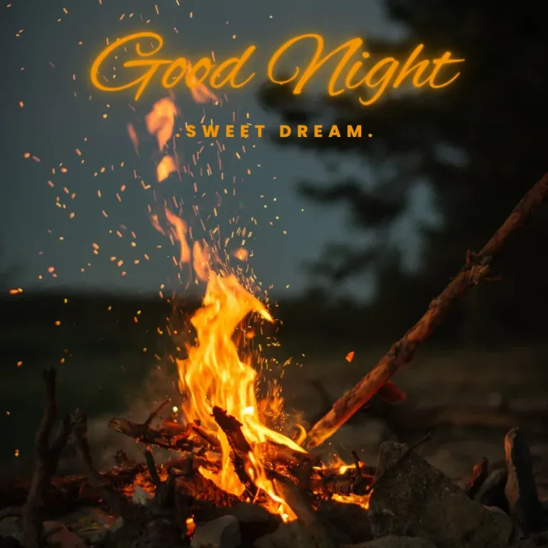 Good Night Imag Good Night Imag