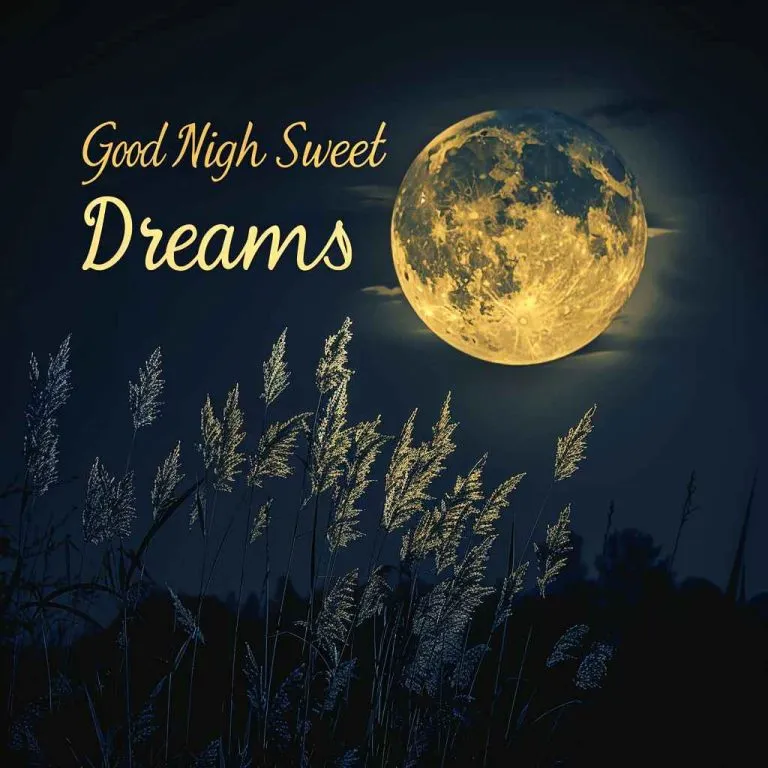 Good Night Image Good Night Image