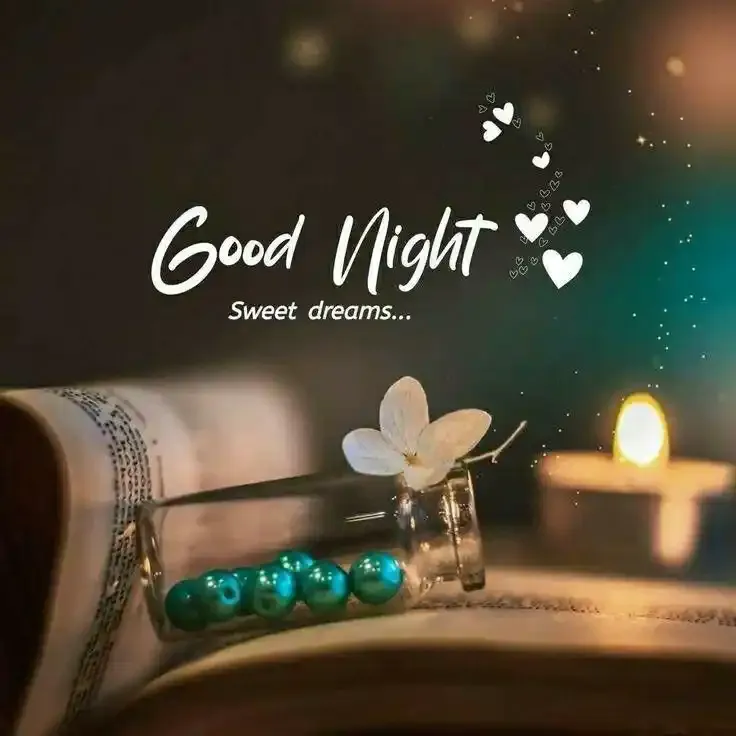 Good Night Images And Quotes Funny Good Night Images And Quotes Funny