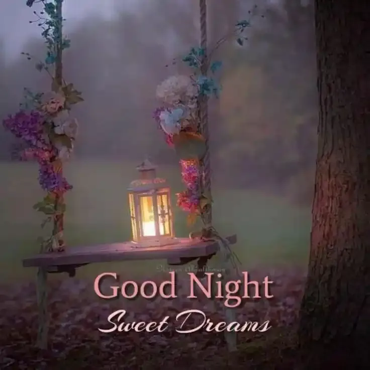 Good Night Images Couple Romantic Good Night Images Couple Romantic
