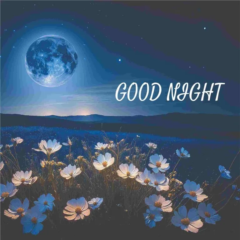 Good Night Images For Love Good Night Images For Love