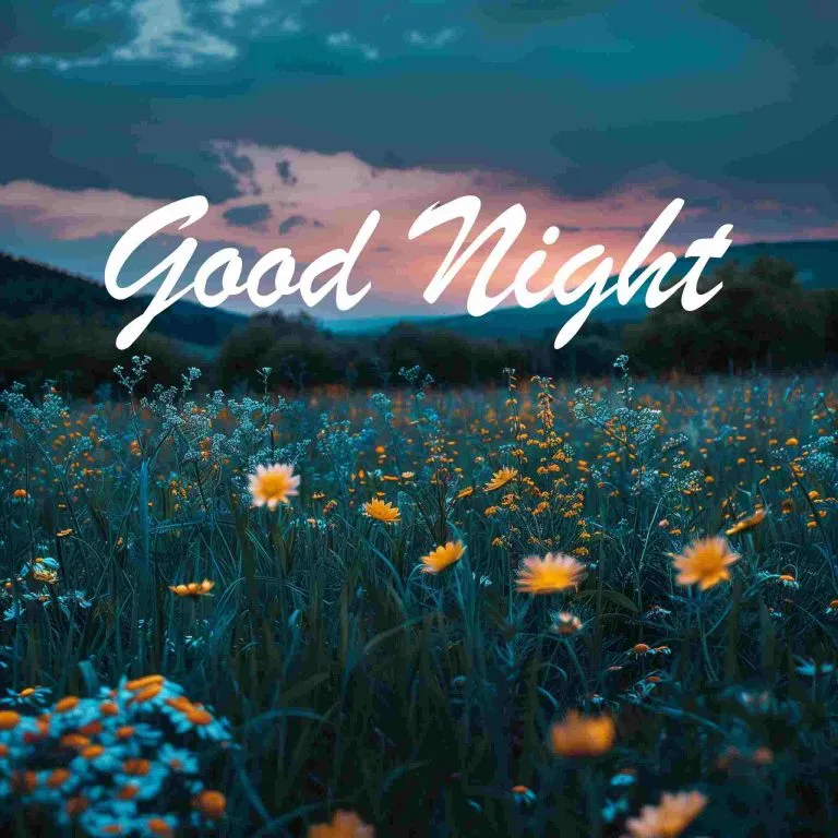 Good Night Images New 2024 Good Night Images New 2024