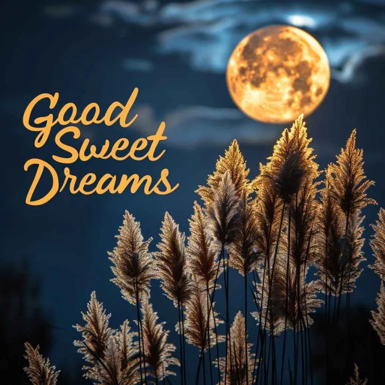 Good Night Images Today Good Night Images Today