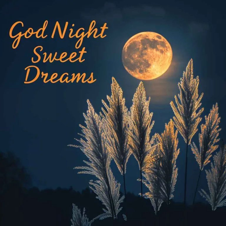 Good Night In English Images Good Night In English Images