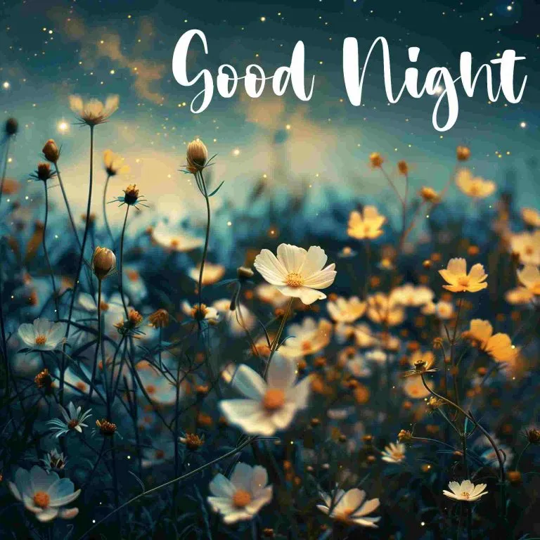 Good Night Photo Good Night Photo