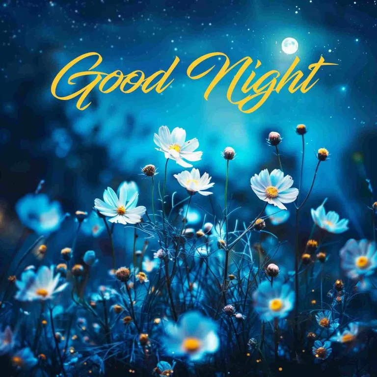 Good Night Good Night
