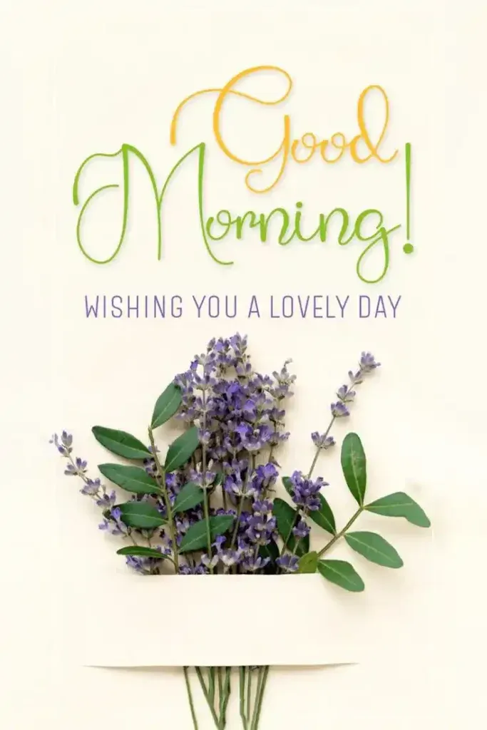 Good morning Images rose