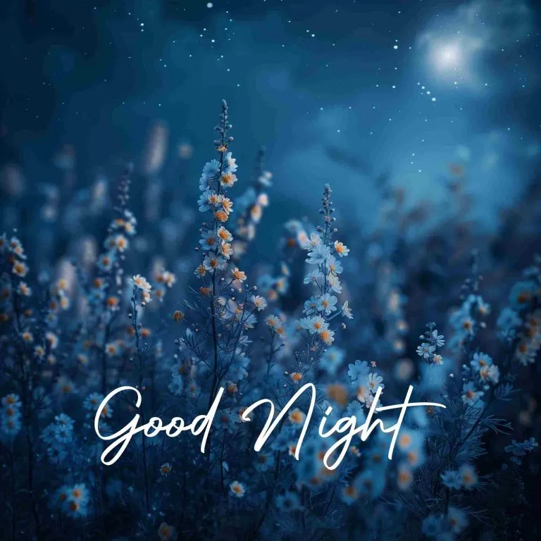 Images For Good Night Images For Good Night
