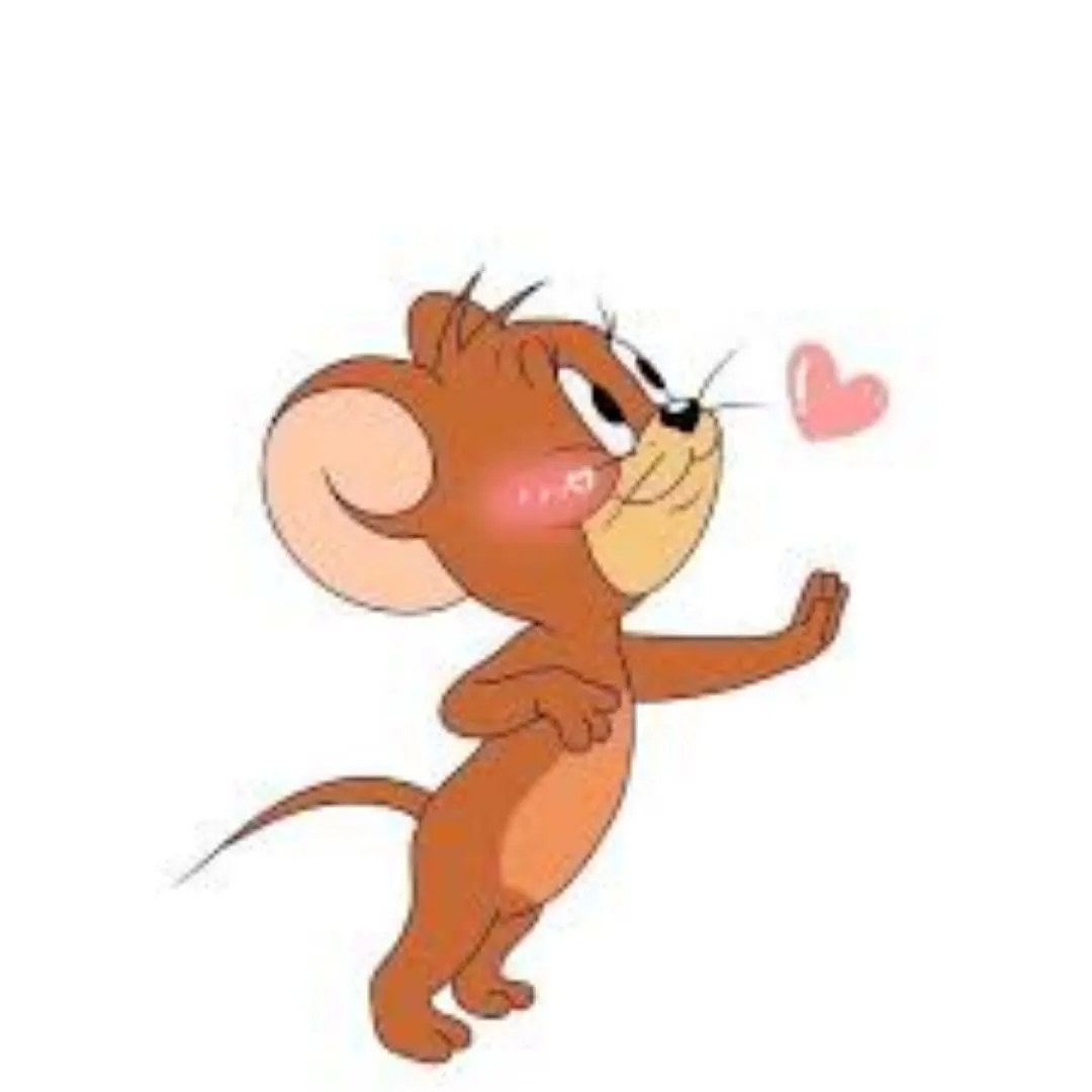 Jerry dp