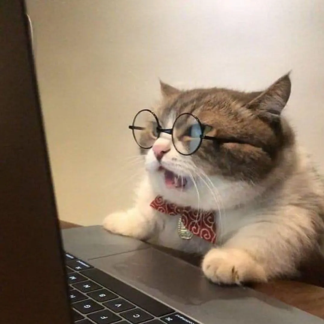 Meme cat dp boy