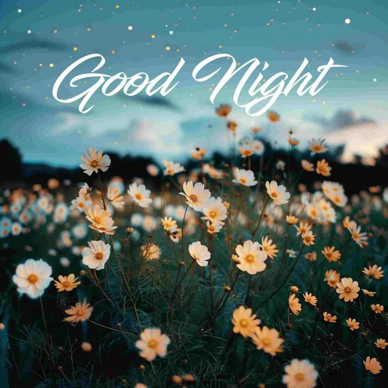 Simple Cute Cute Good Night Images Simple Cute Cute Good Night Images