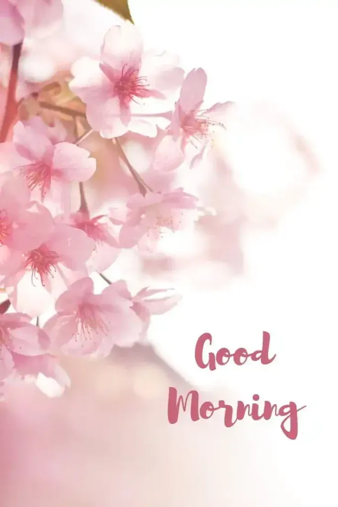 Today special Good Morning Images