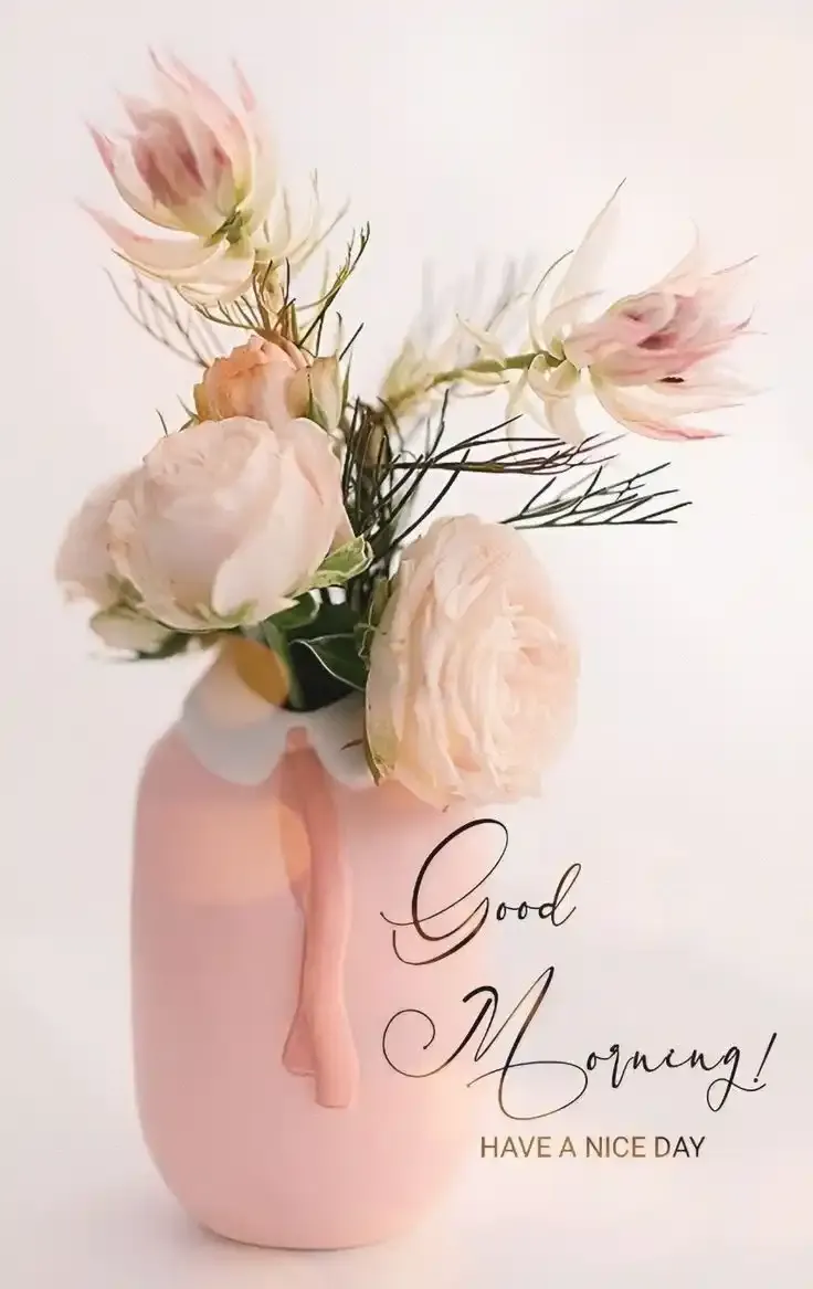 Today special Good Morning Images free