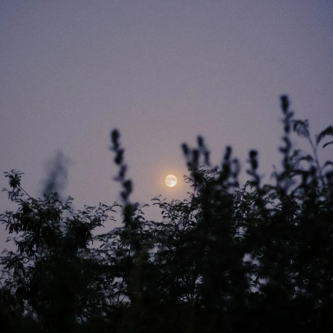 aesthetic moon dp for instagram