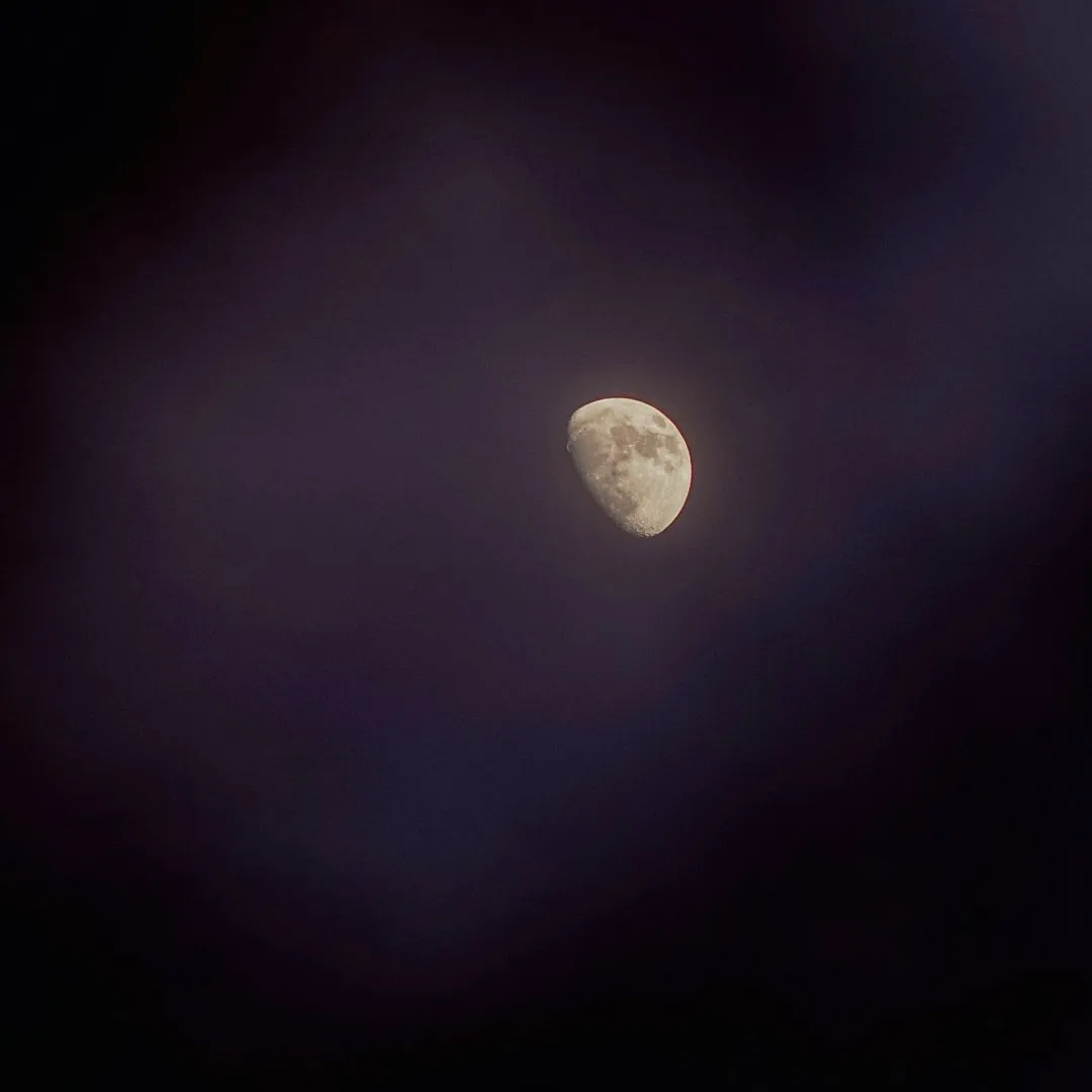 beautiful moon dp for whatsapp
