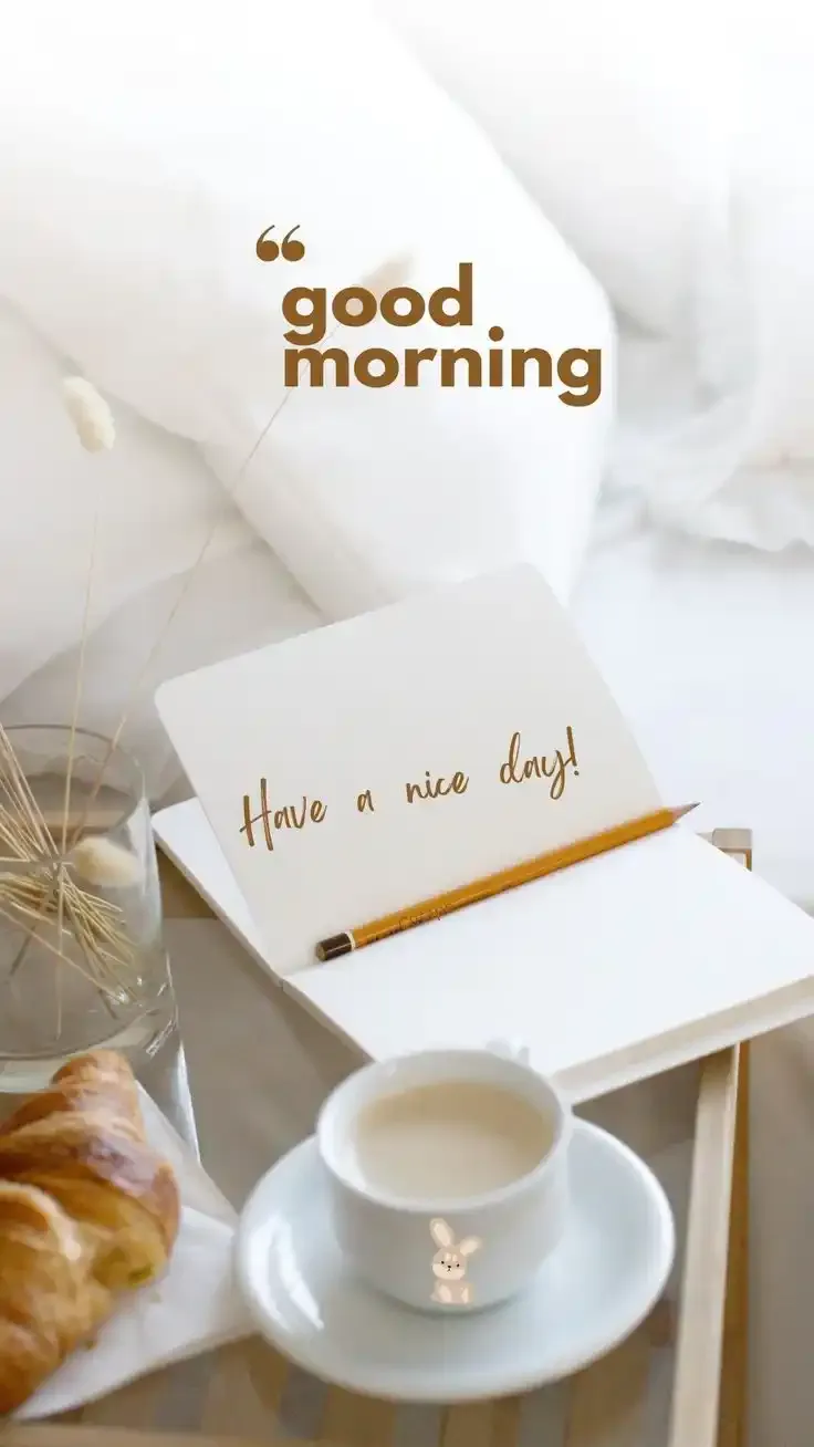 cat good morning images
