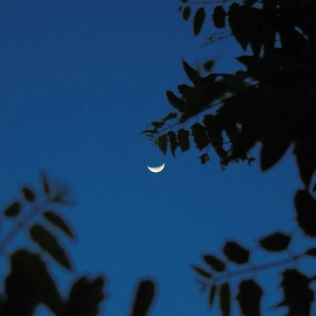 cute moon dp for whatsapp