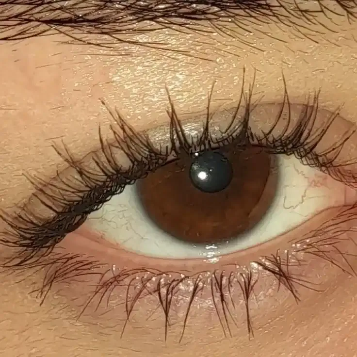 eye girls dp
