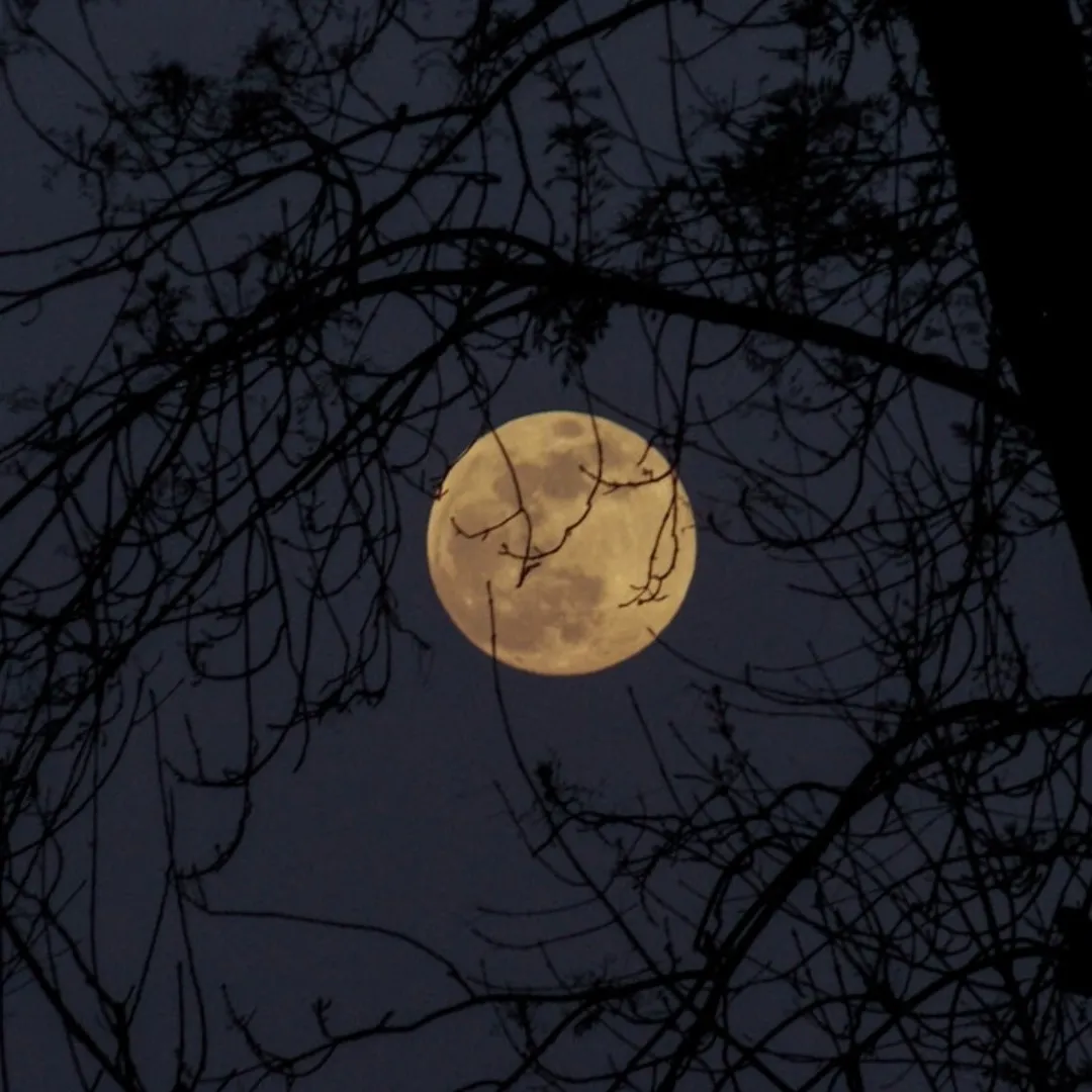 moon dp for instagram