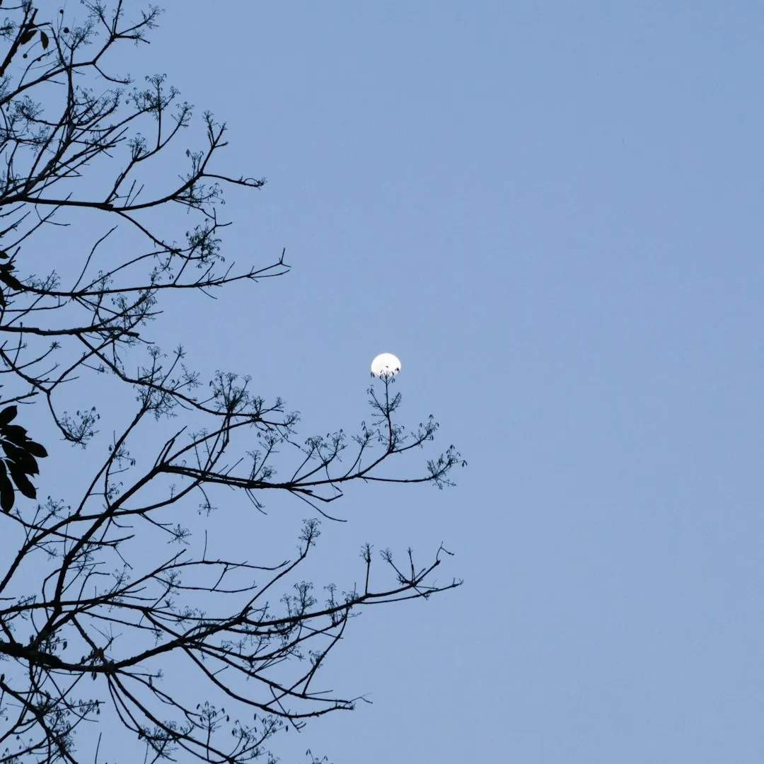 moon dp for whatsapp girl