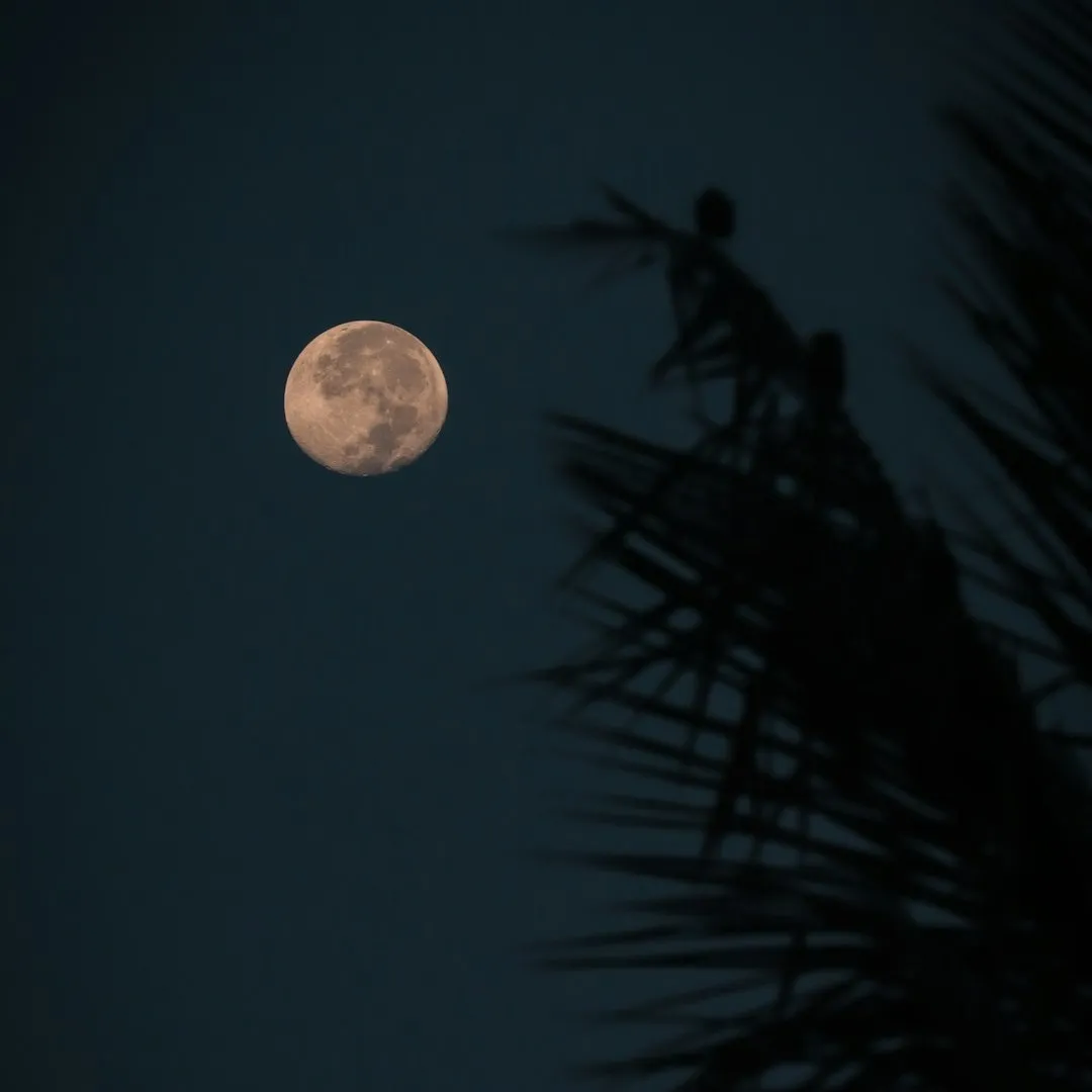 night moon pic real