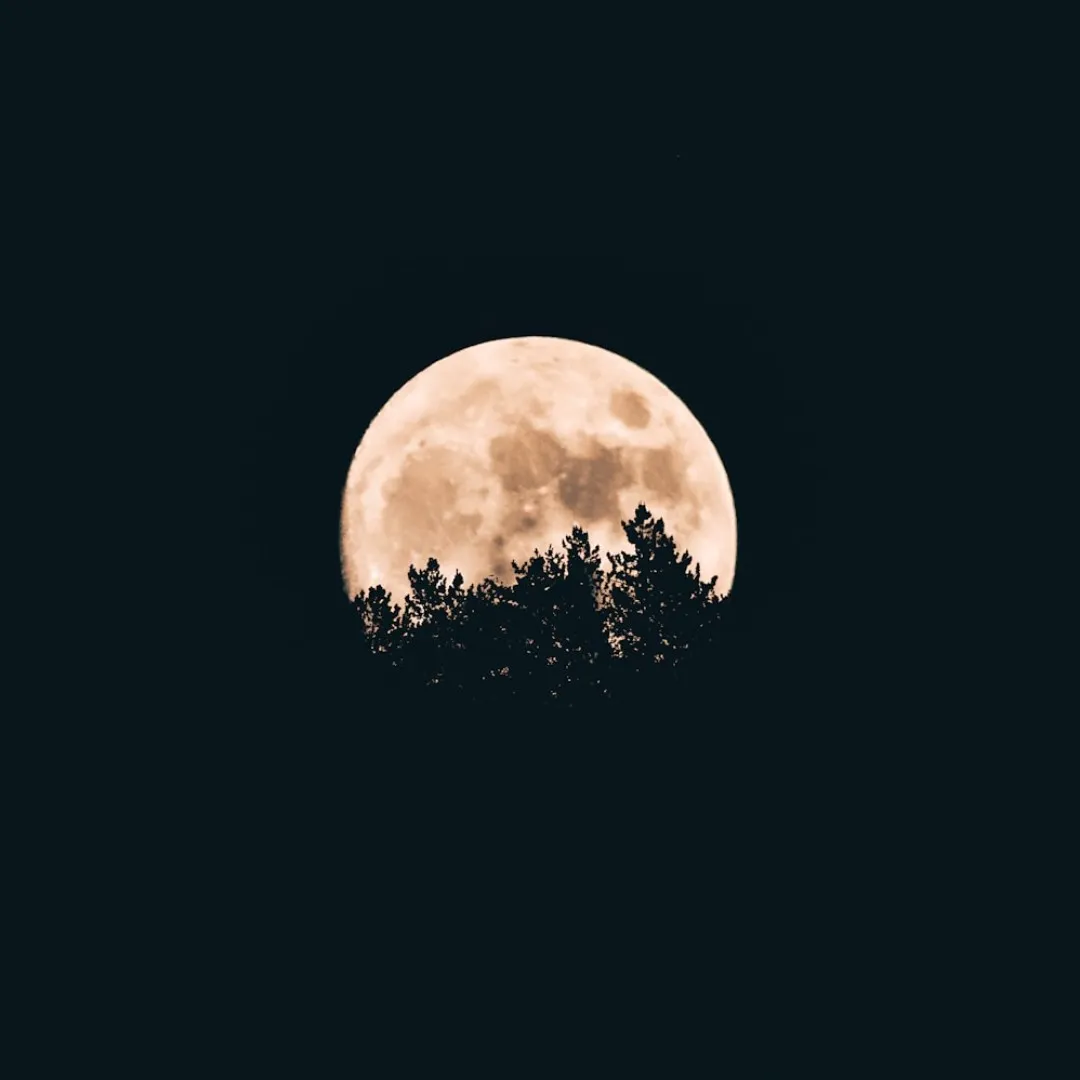 night moon