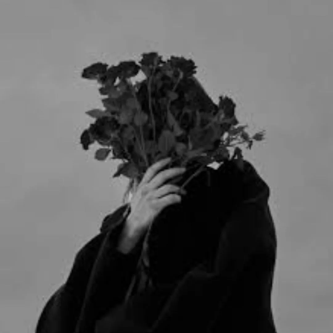 silent dp black
