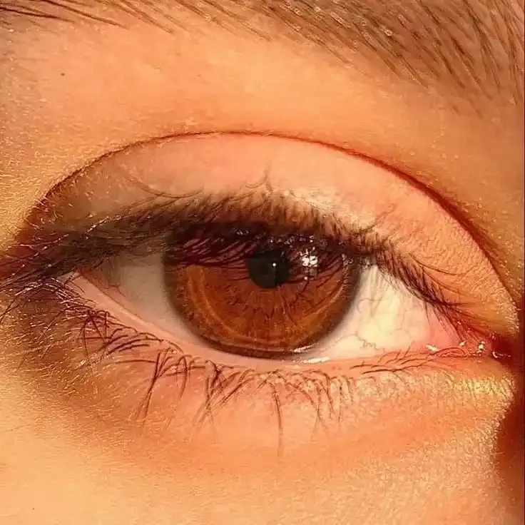 whatsapp stylish girl eye dp