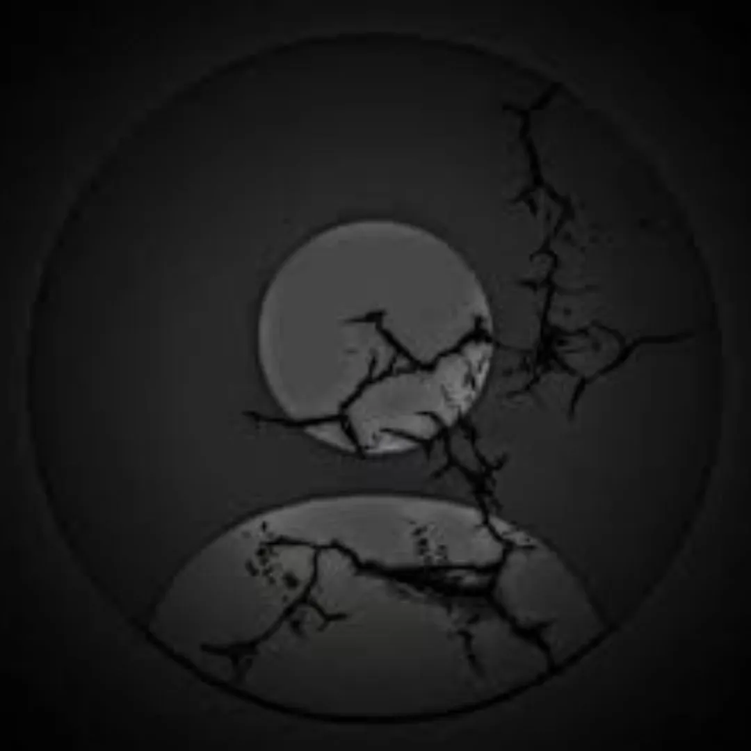 No DP Images