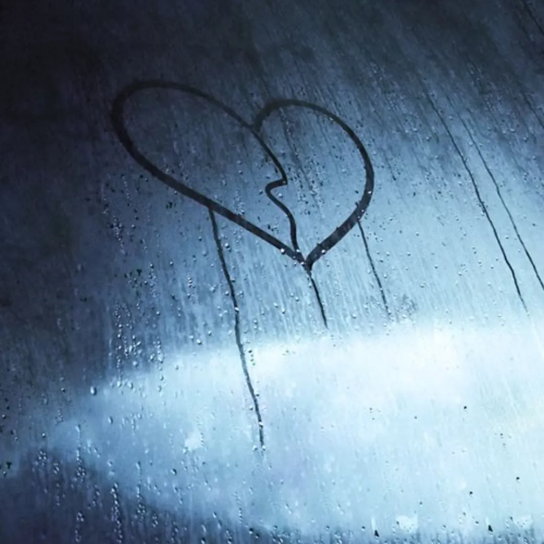 No Love WhatsApp DP Download